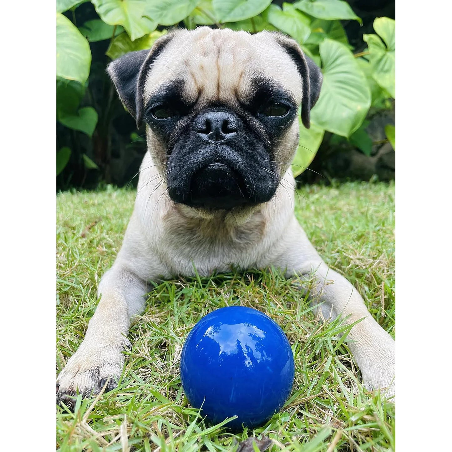 Super Chewy Tough Dog Ball Natural Rubber