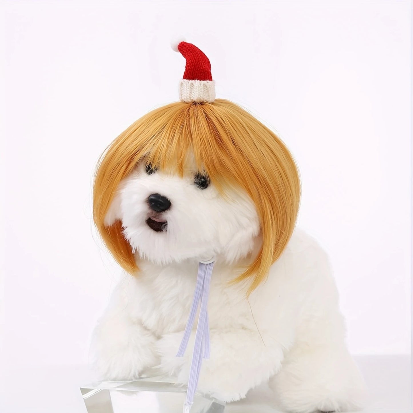 Pet Cute Wig For Cats and Dogs