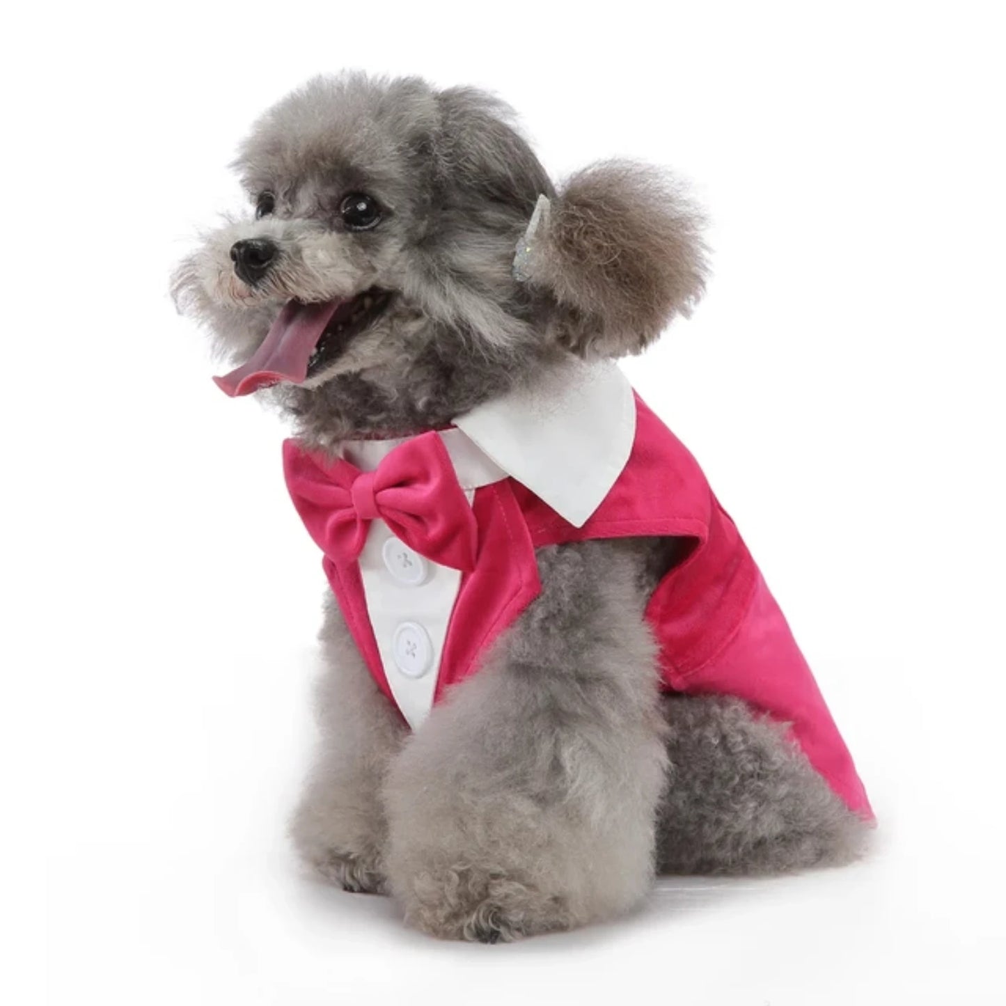 Pet Formal Tuxedo Apparel For Special Occasions