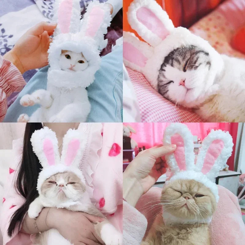 Pet Funny Cat Headgear Cute Rabbit Ears