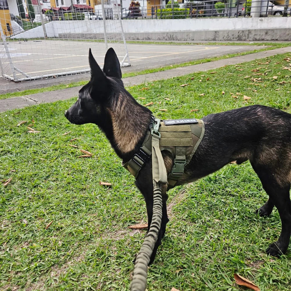 Pet Tactical Dog Harness Leash Set Military