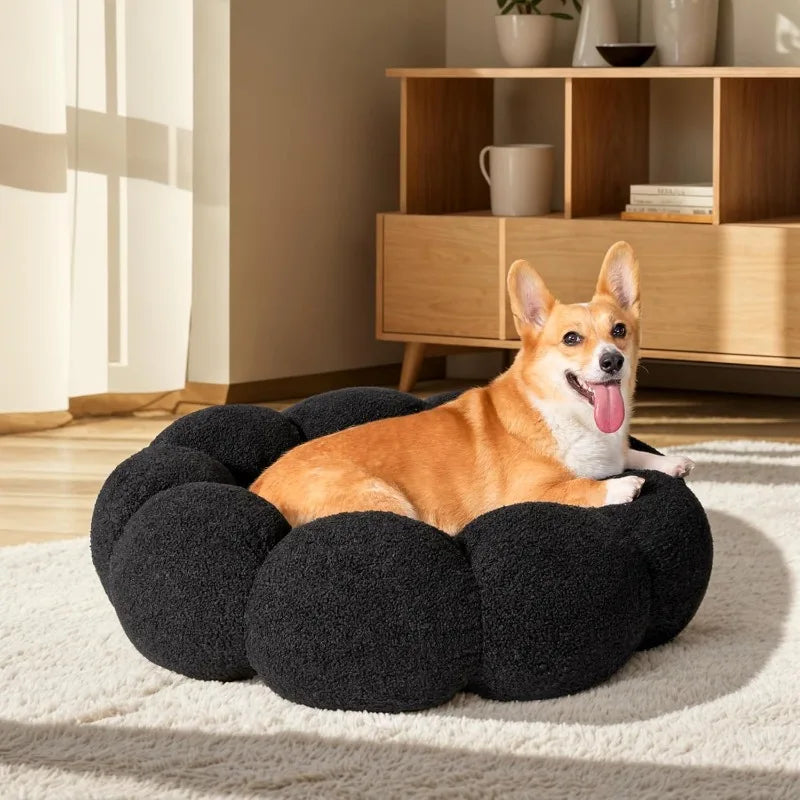 Calming Dog Beds For Cats And Dogs