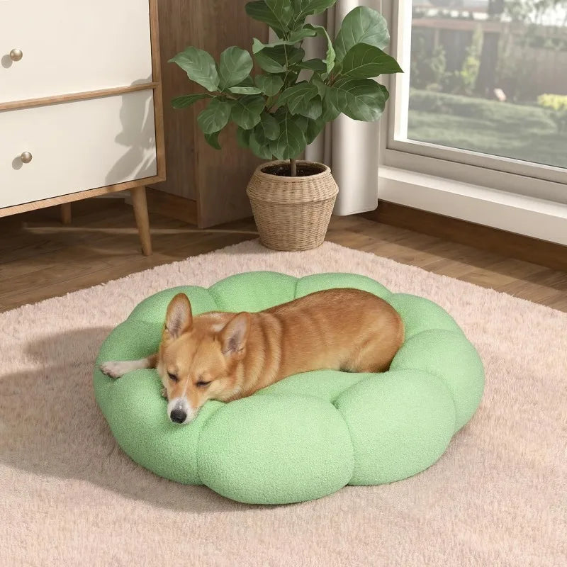 Calming Dog Beds For Cats And Dogs