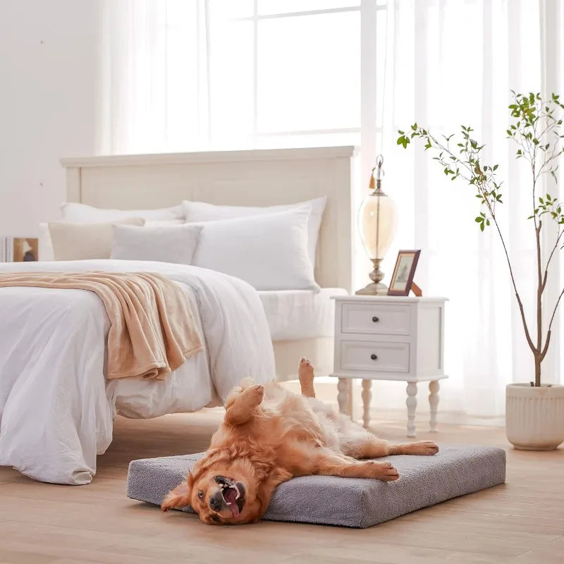 Orthopedic Memory Foam Dog Bed