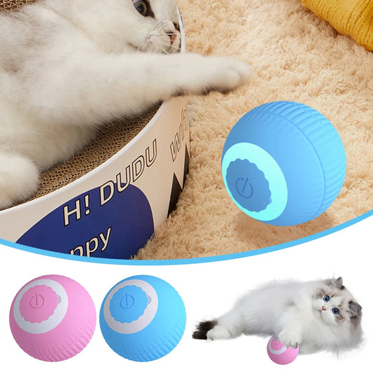 Pet Electric Ball Toys Interactive Training