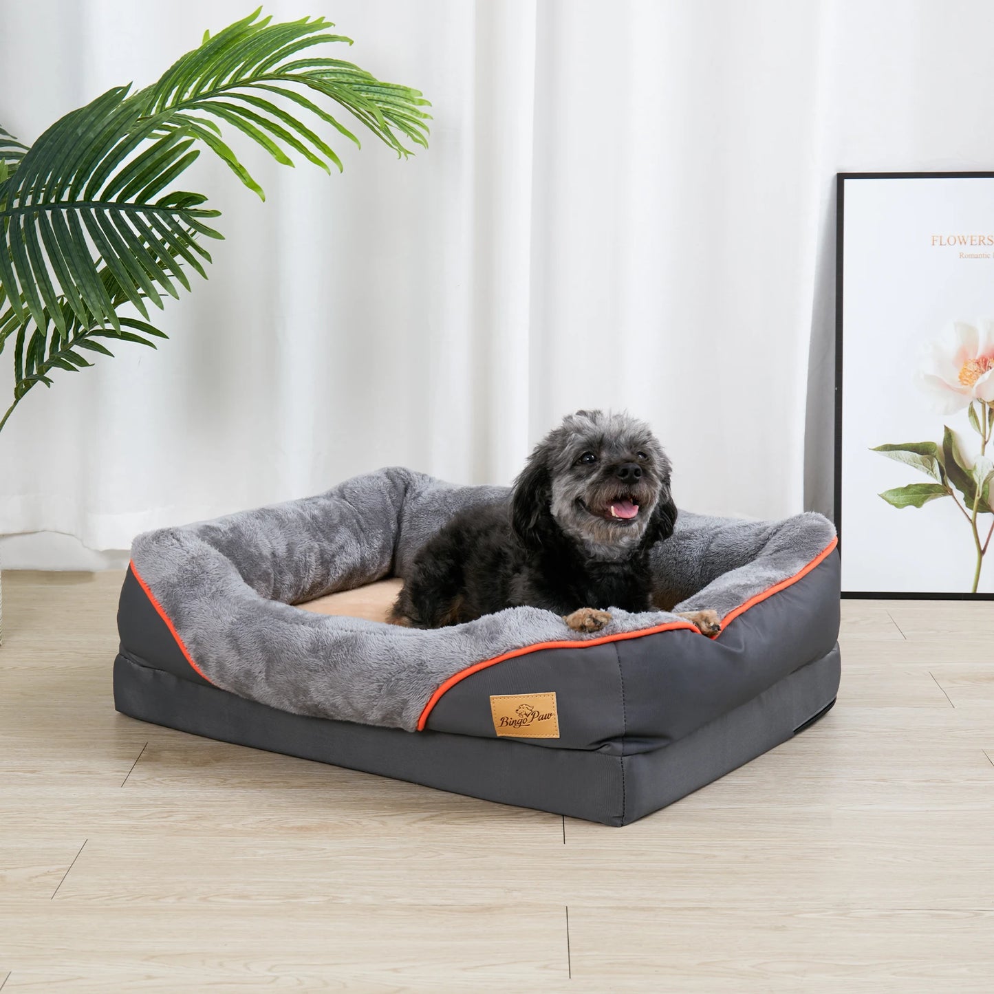 Orthopedic Dog Bed