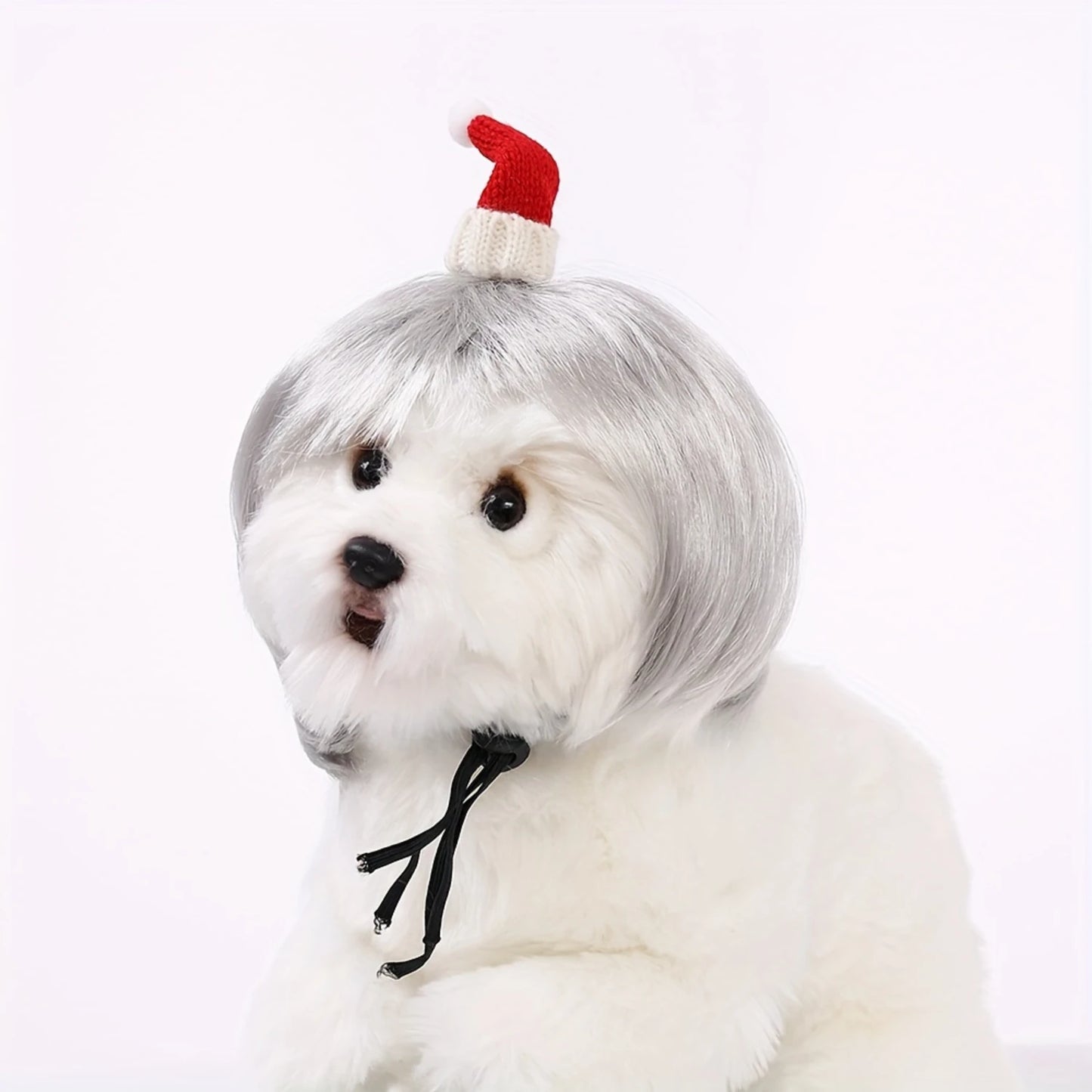 Pet Cute Wig For Cats and Dogs