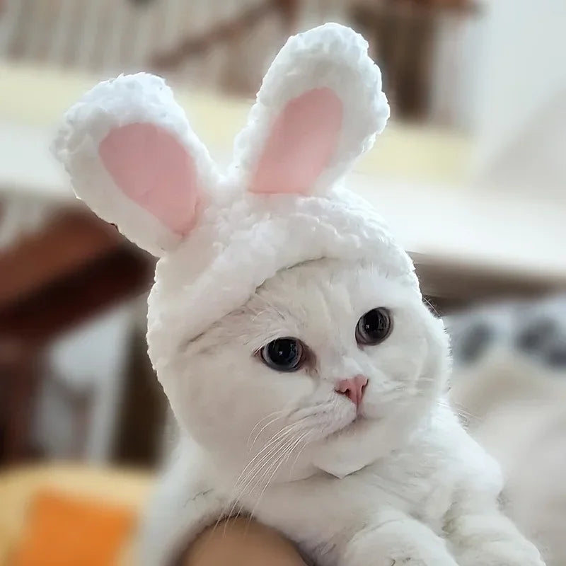 Pet Funny Cat Headgear Cute Rabbit Ears