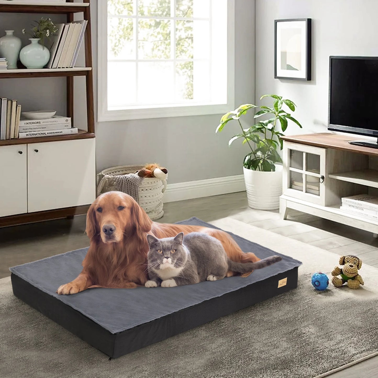 Orthopedic Dog Bed