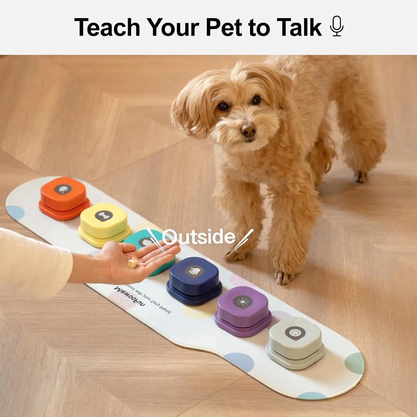 Pet Voice Recording Button For Communication