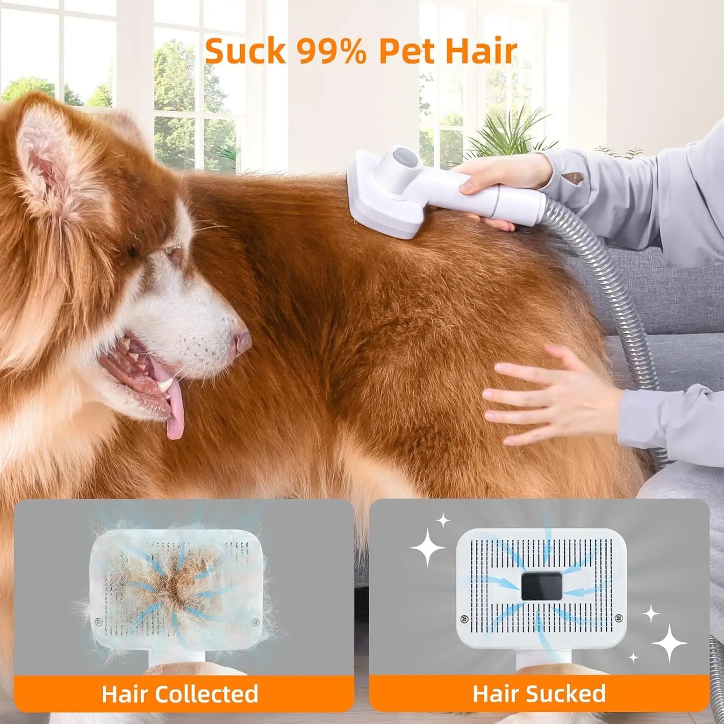 Pet Grooming Kit With Vacuum