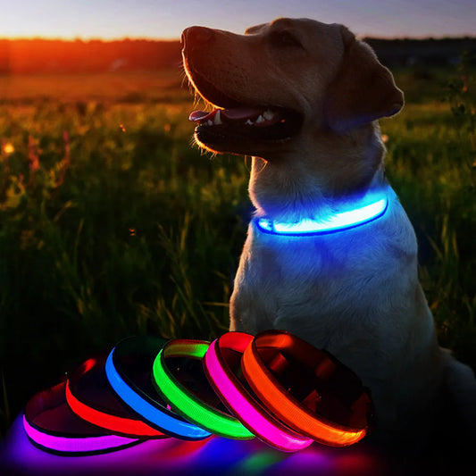 Luminous Dog Collar Waterproof