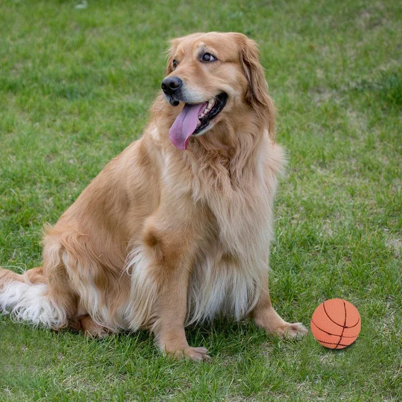 Rubber Basketball Squeaky Interactive Training Toy