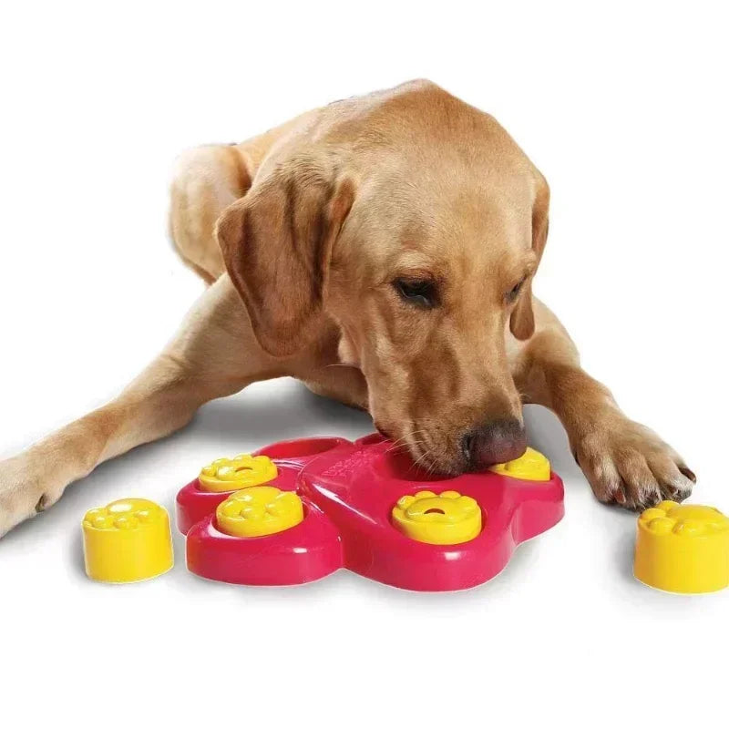 Dog Plastic Educational Toy Anti Choke Bowl