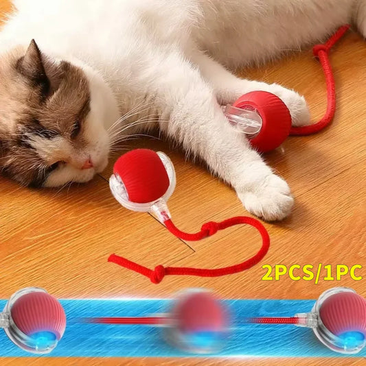 Cat Interactive Rotating Rolling Automatic Ball Rechargeable