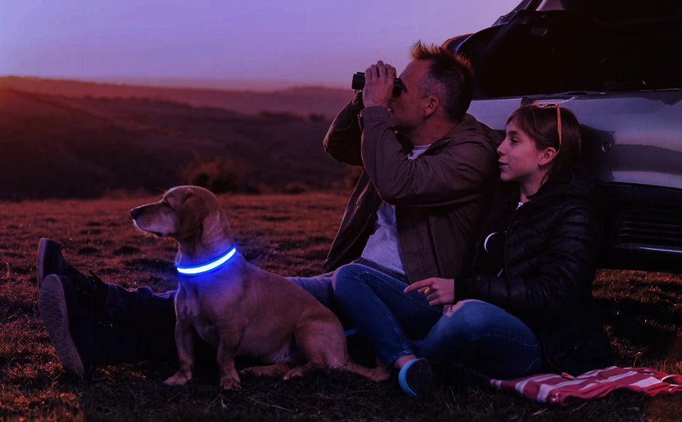 Luminous Dog Collar Waterproof