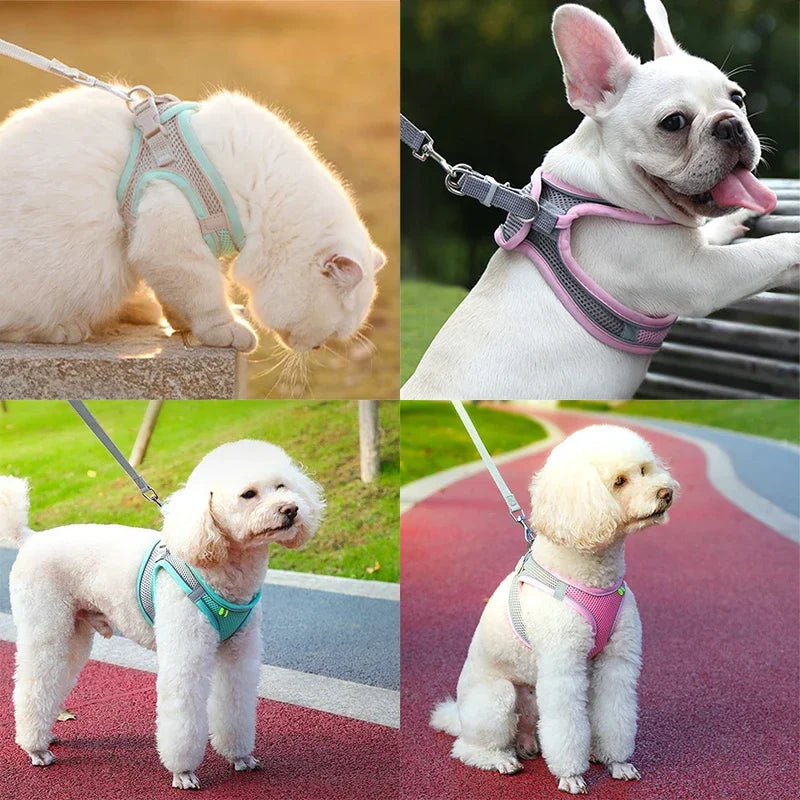 Pet Harness Leash For Dogs And Cats