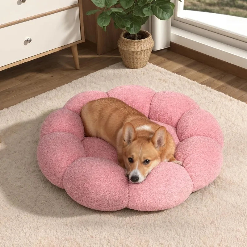 Calming Dog Beds For Cats And Dogs