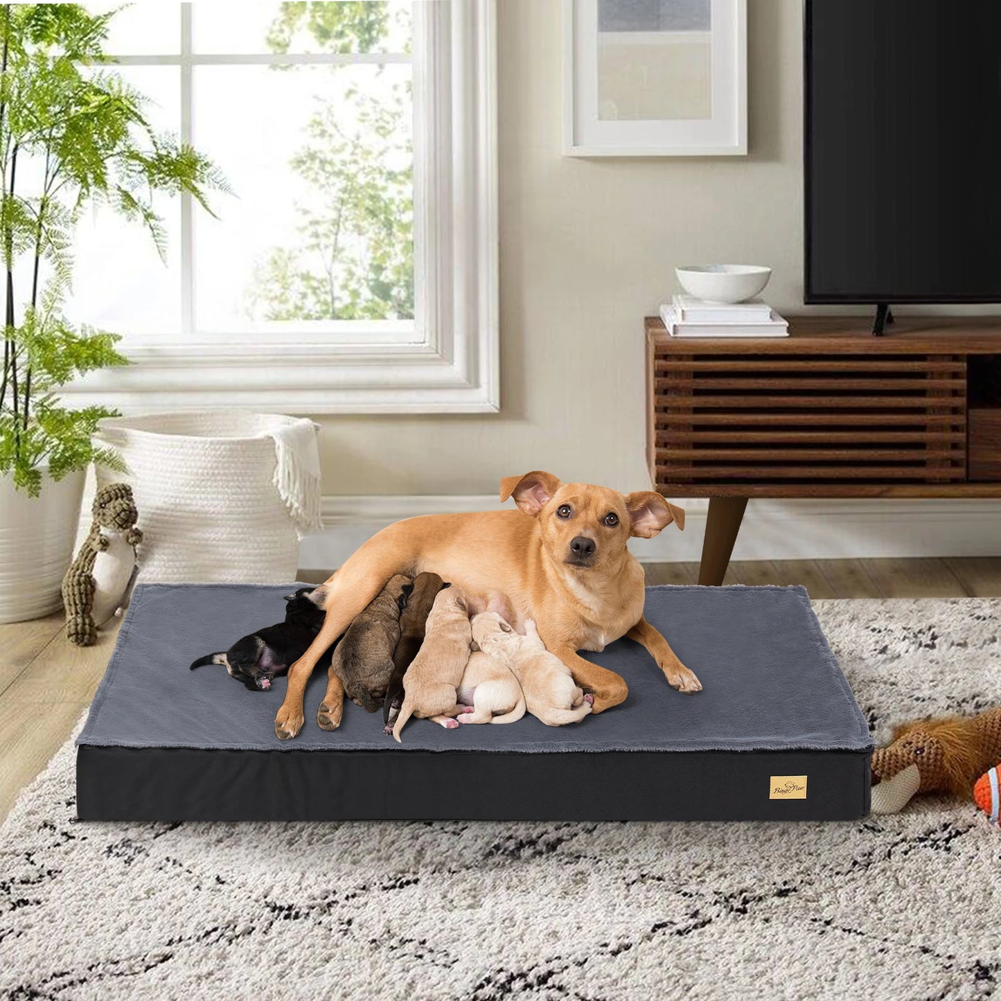 Orthopedic Dog Bed Waterproof Lining