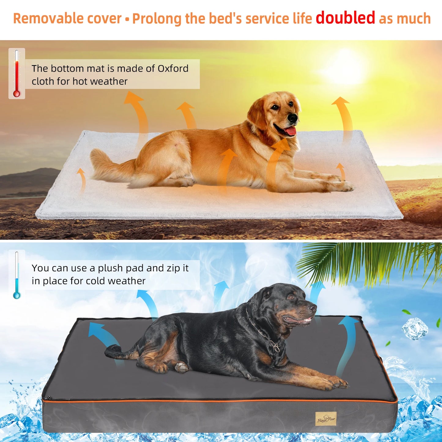 Orthopedic Dog Bed With Foam Cushion