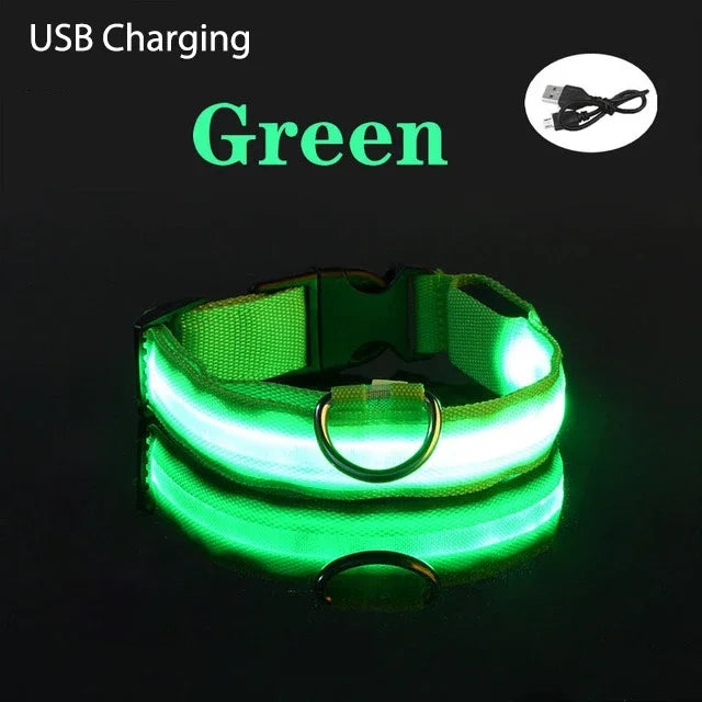 Dog Collar Light Up LED Collar Rechargeable