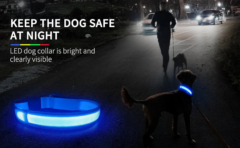 Luminous Dog Collar Waterproof