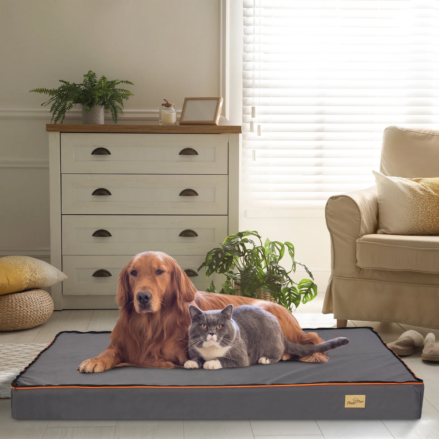 Orthopedic Dog Bed With Foam Cushion