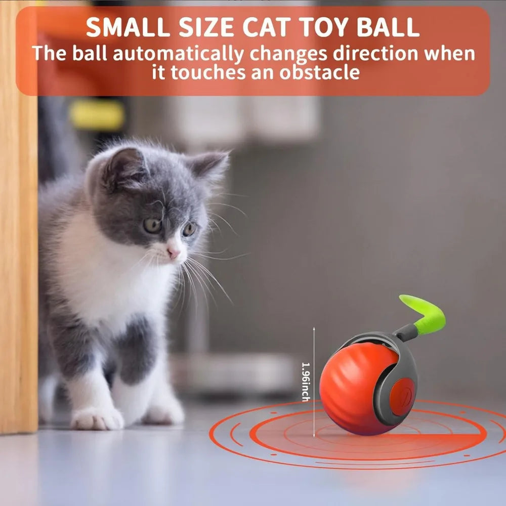 Interactive Cat Ball Toy With Feather