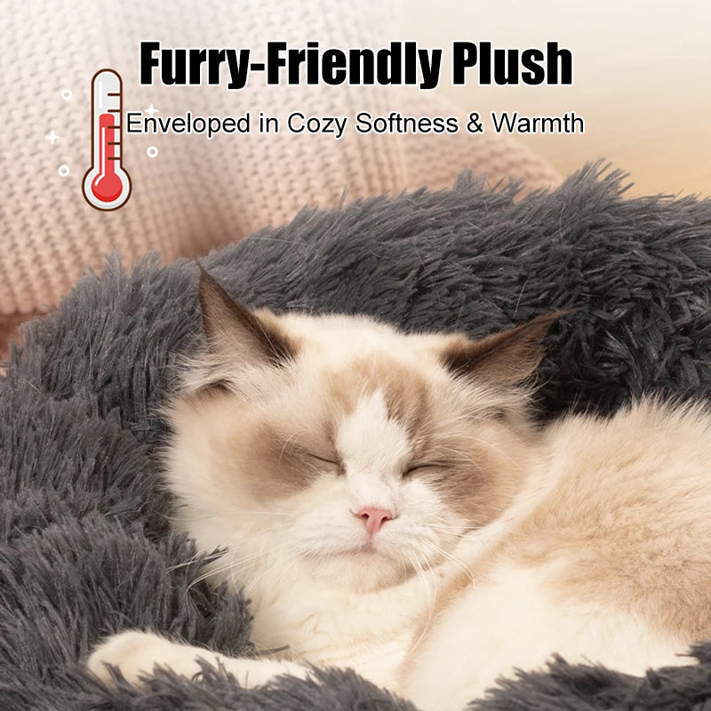 Fluffy Beds For Dogs And Cats