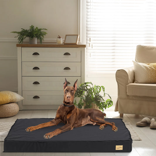 Orthopedic Dog Bed Waterproof Lining