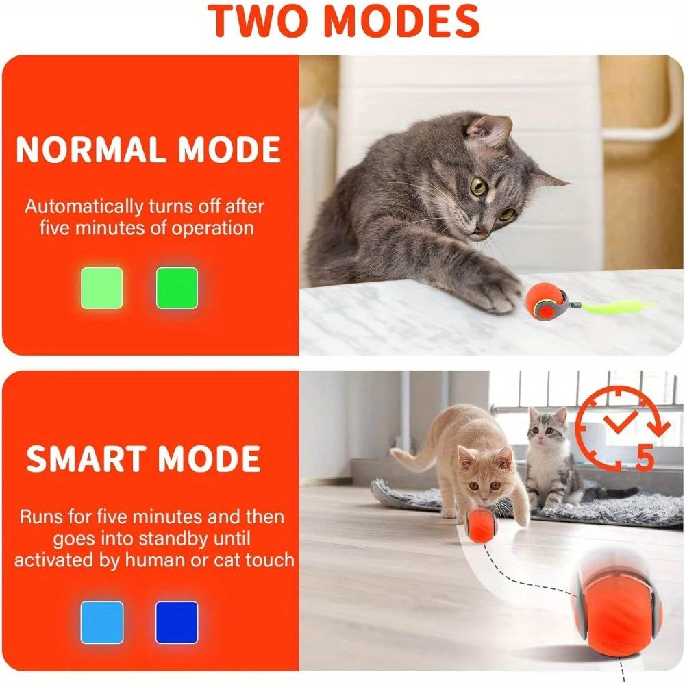 Interactive Cat Ball Toy With Feather