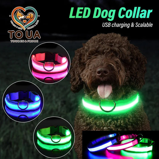 Dog Collar Light Up LED Collar Rechargeable