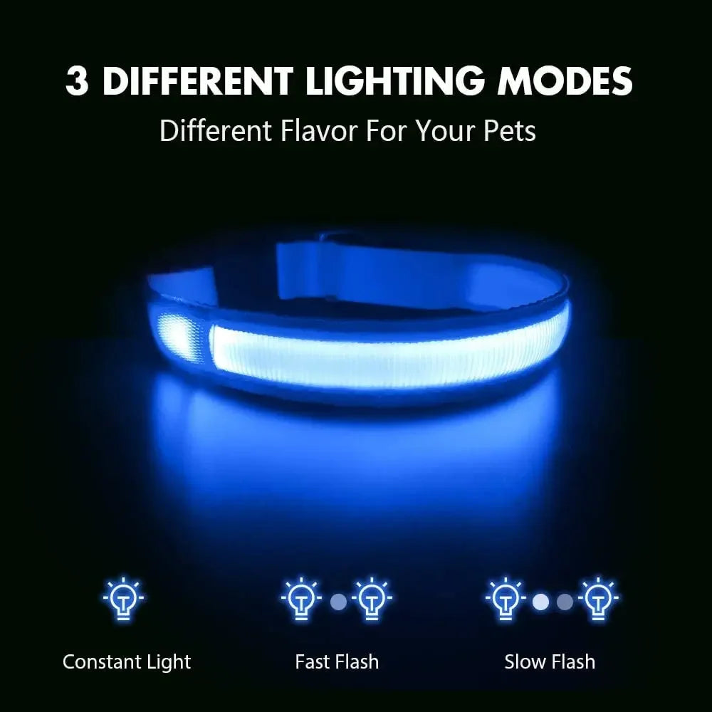 Dog Collar Light Up LED Collar Rechargeable